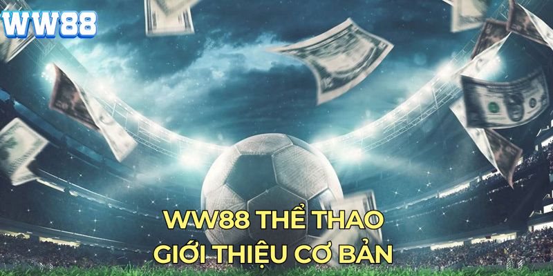 Cược tài xỉu, tỷ số chính xác – Ăn đậm với mỗi lựa chọn